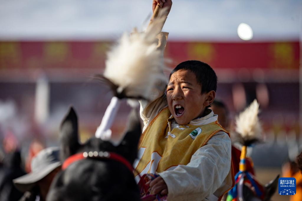 新华全媒+丨高原竞速:马蹄踏响羌塘草原