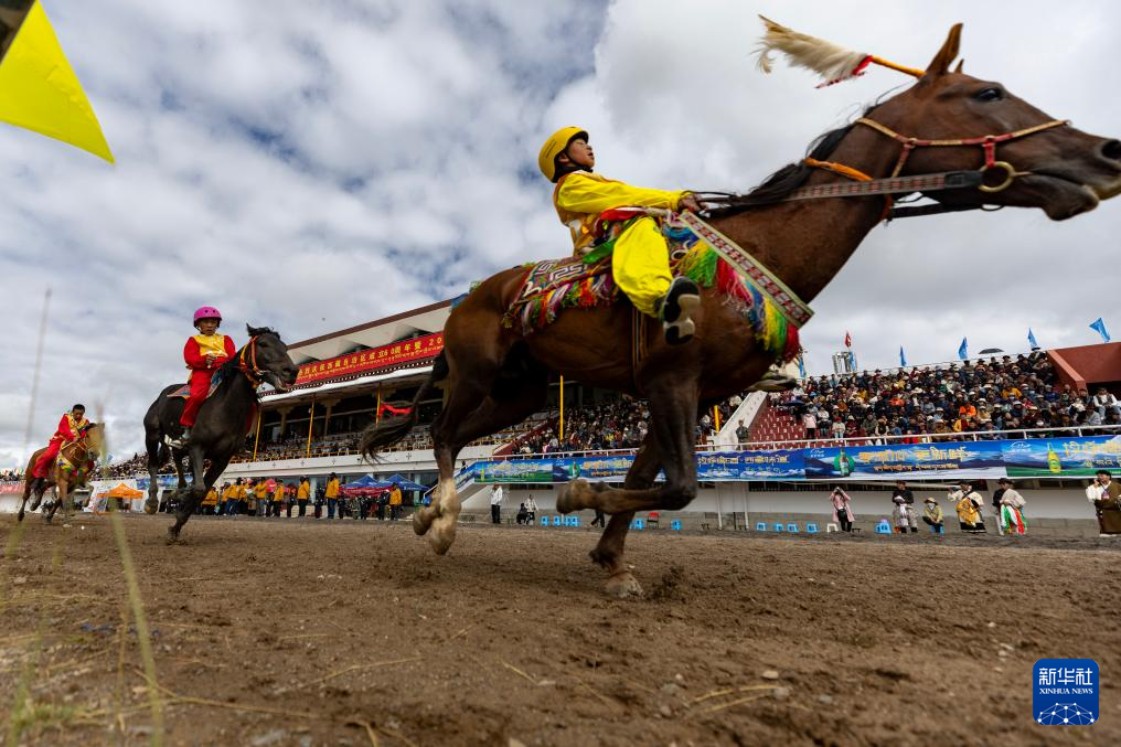 新华全媒+丨高原竞速:马蹄踏响羌塘草原