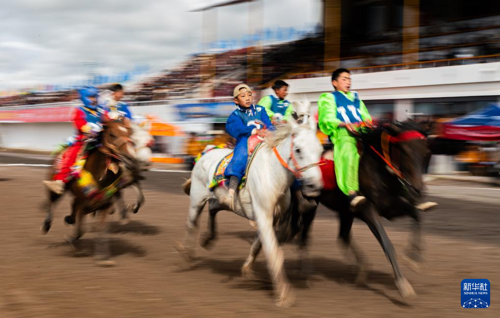 新华全媒+丨高原竞速:马蹄踏响羌塘草原