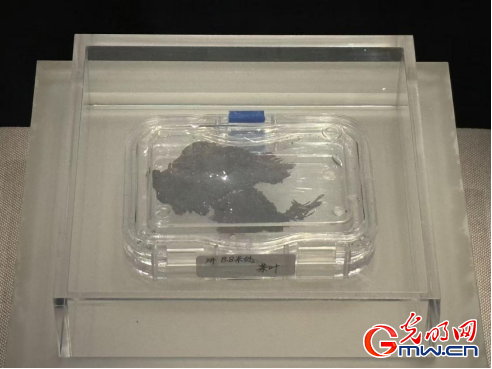 数智文遗陕西行丨从汉室陵阙看昔日文景盛世