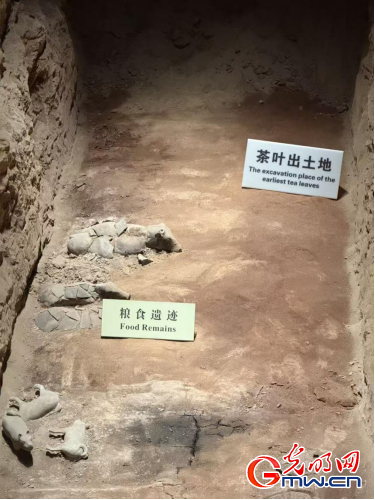 数智文遗陕西行丨从汉室陵阙看昔日文景盛世