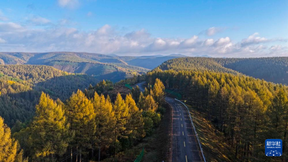 秋晨塞罕坝 风景美如画