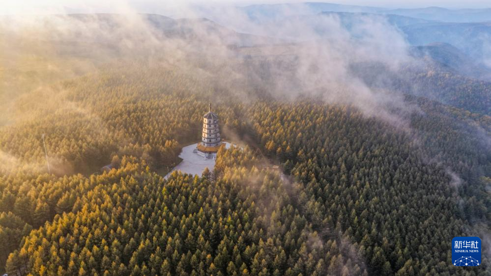 秋晨塞罕坝 风景美如画