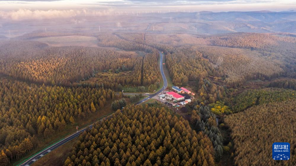 秋晨塞罕坝 风景美如画