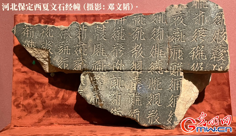 十一假期又添好去处！来首都博物馆感受西夏文物魅力