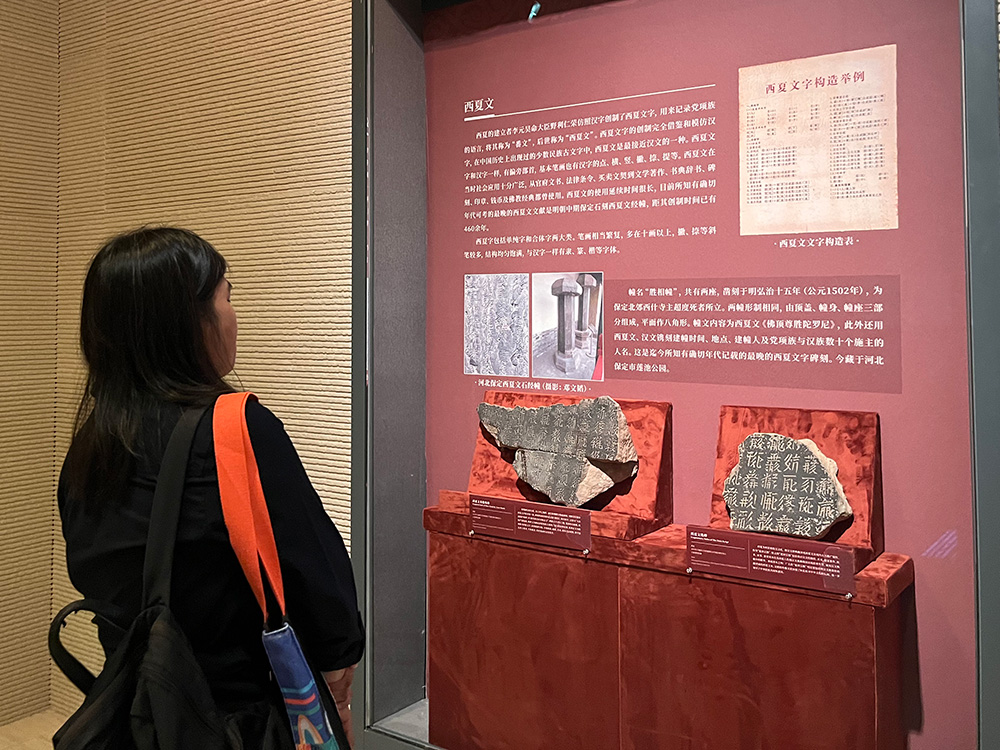 市民游客走进首都博物馆了解西夏文化