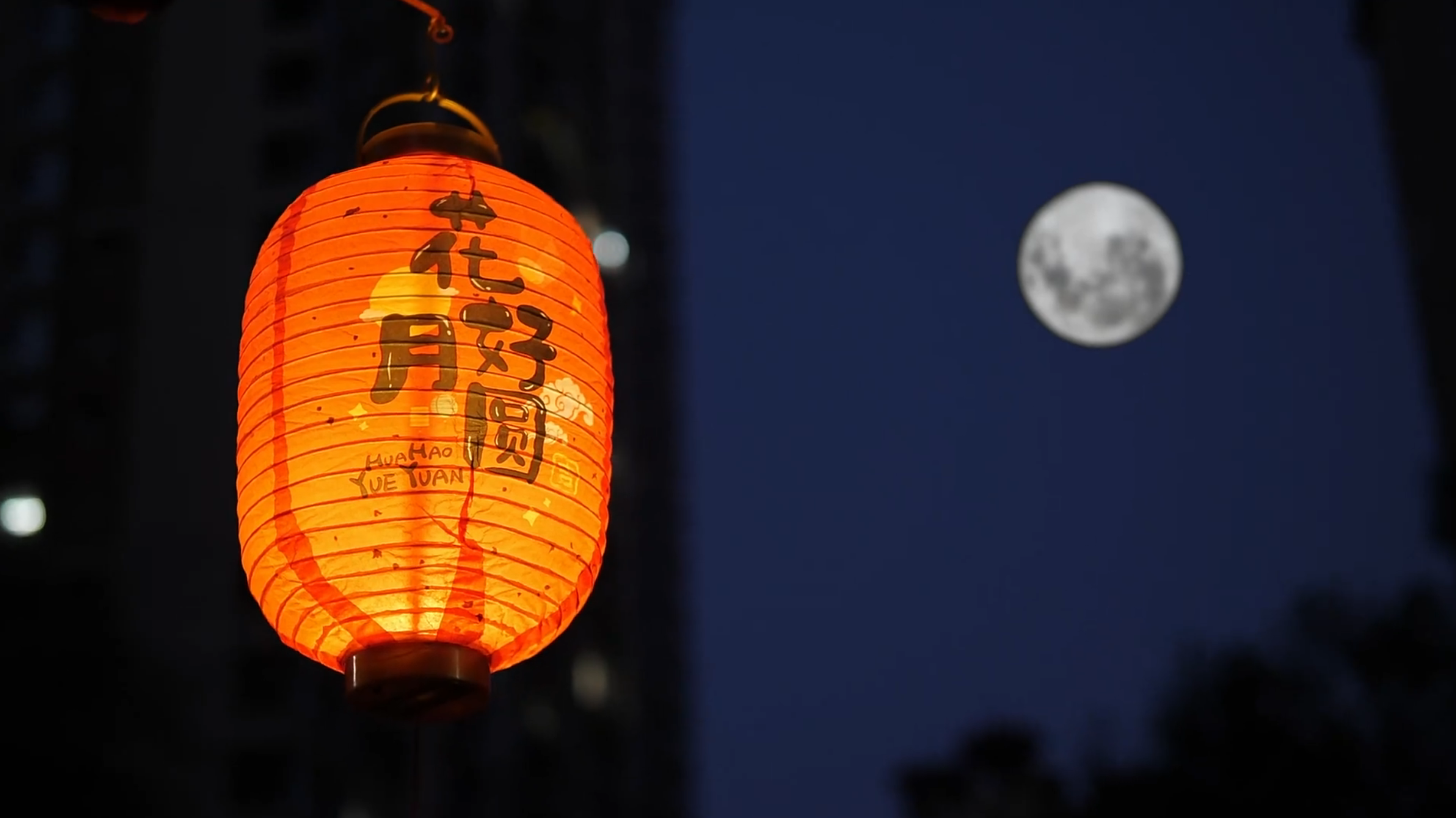 【网络中国节】微视频丨月圆心归