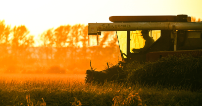 【网络中国节·中秋】共赏同一轮明月 诉说同一份思念
