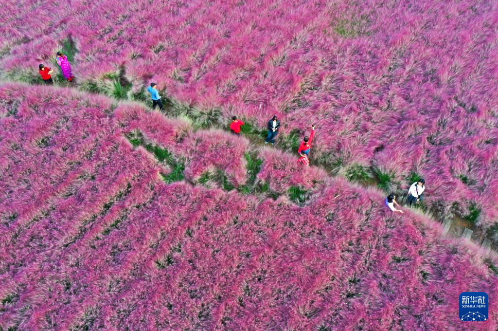 国庆中秋假期国内出游8.88亿人次