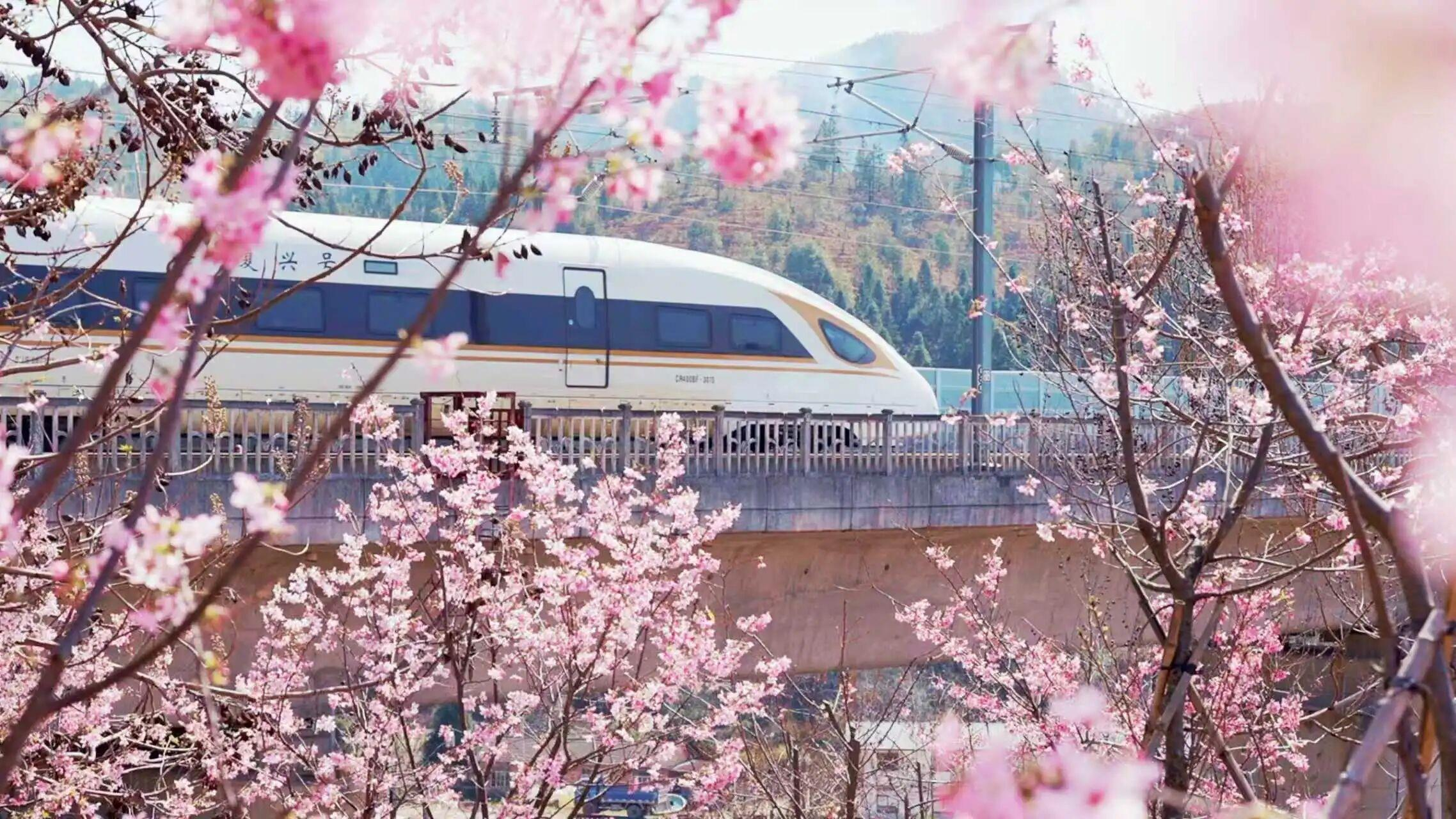 【网络中国节】春假遇上清明：送您一张春日出行“地图”