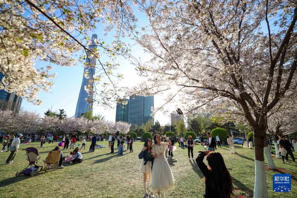 【网络中国节】“Plus版”清明假期 解锁文旅新体验