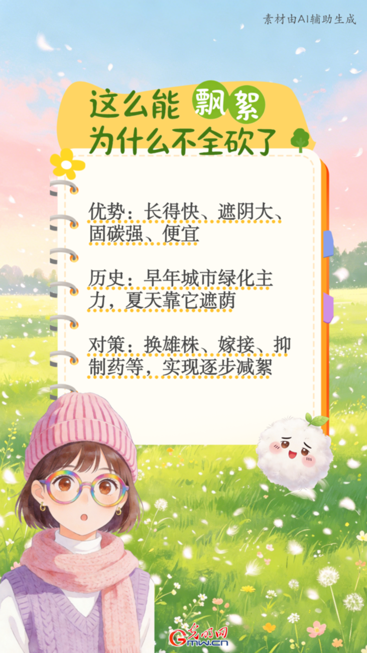 四月为何“飘雪”：“絮絮叨叨”一次说清