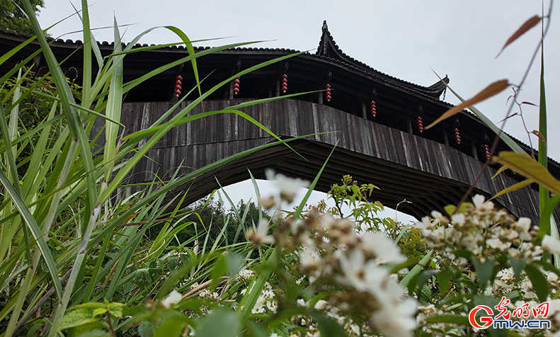 组图丨溪涧飞虹越百年,廊桥守护续华章 组图丨溪涧飞虹越百年,廊桥守护续华章